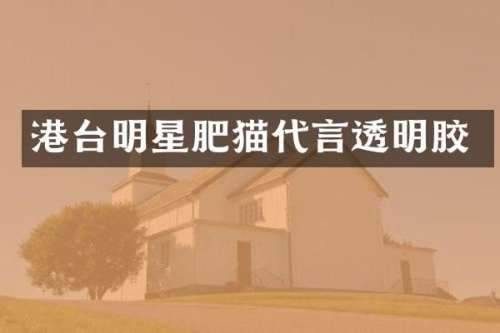 港台明星肥猫代言透明胶
