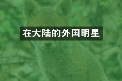 在大陆的外国明星