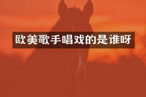 欧美歌手唱戏的是谁呀