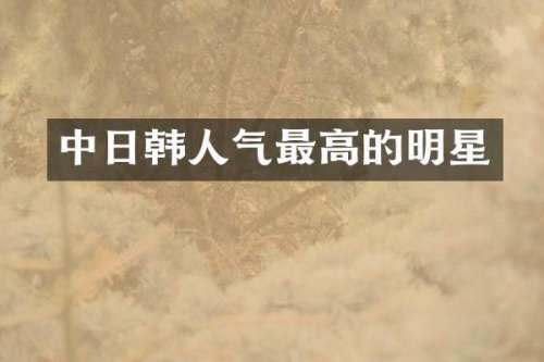 中日韩人气最高的明星