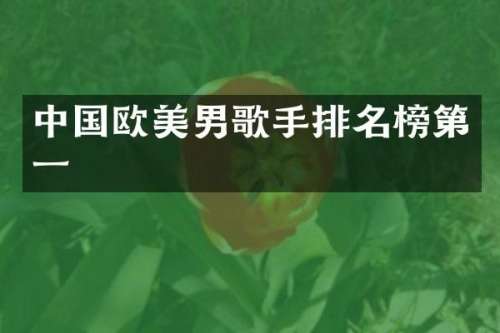 中国欧美男歌手排名榜第一