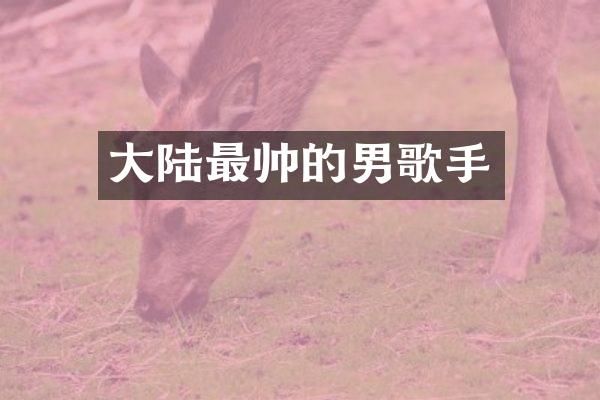 大陆最帅的男歌手