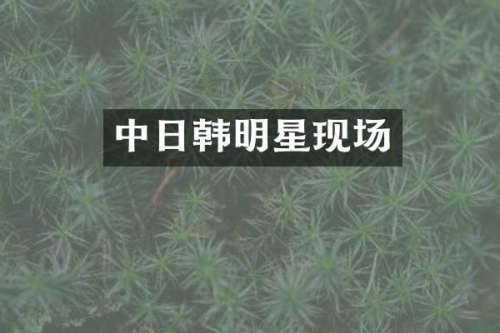 中日韩明星现场