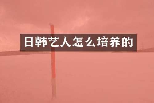 日韩艺人怎么培养的