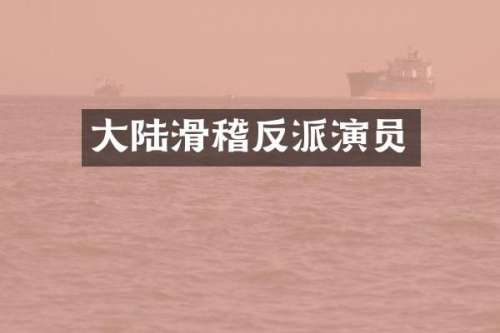 大陆滑稽反派演员