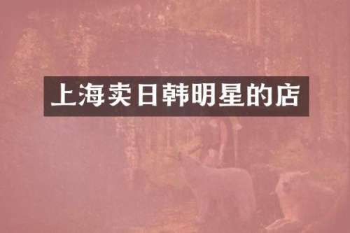 上海卖日韩明星的店