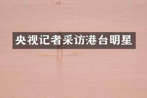 央视记者采访港台明星