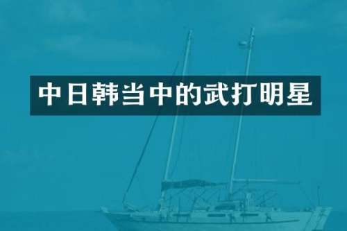 中日韩当中的武打明星