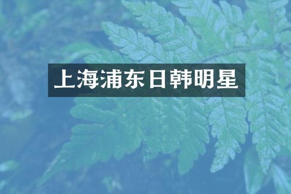 上海浦东日韩明星