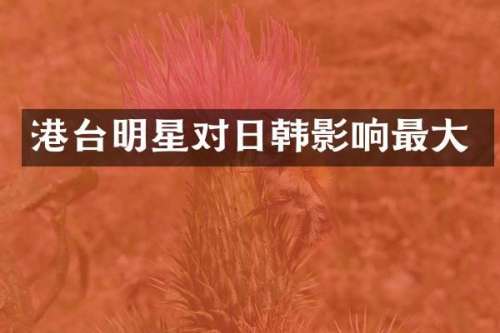 港台明星对日韩影响最大