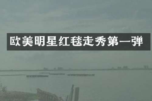 欧美明星红毯走秀第一弹