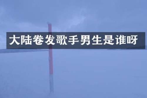 大陆卷发歌手男生是谁呀