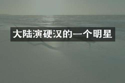 大陆演硬汉的一个明星