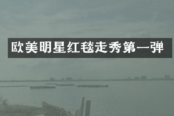 欧美明星红毯走秀第一弹