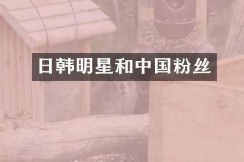 日韩明星和中国粉丝