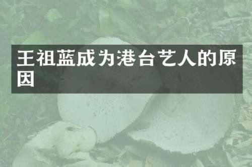 王祖蓝成为港台艺人的原因