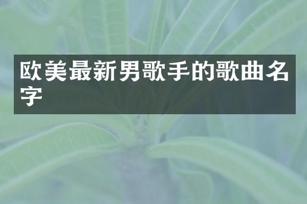 欧美最新男歌手的歌曲名字