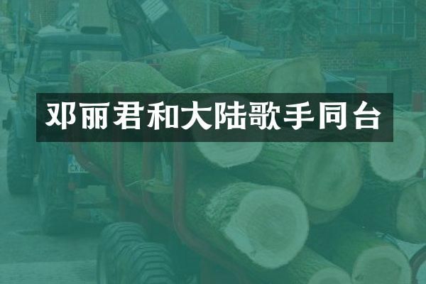 邓丽君和大陆歌手同台
