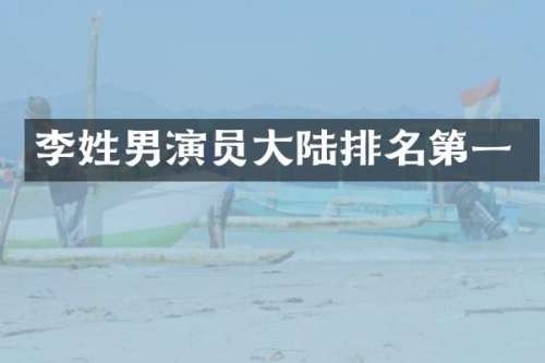 李姓男演员大陆排名第一