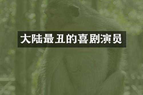 大陆最丑的喜剧演员
