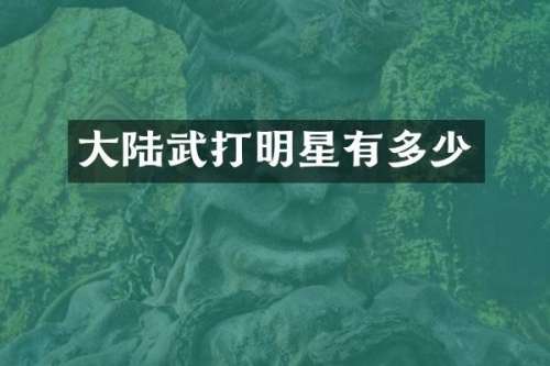 大陆武打明星有多少