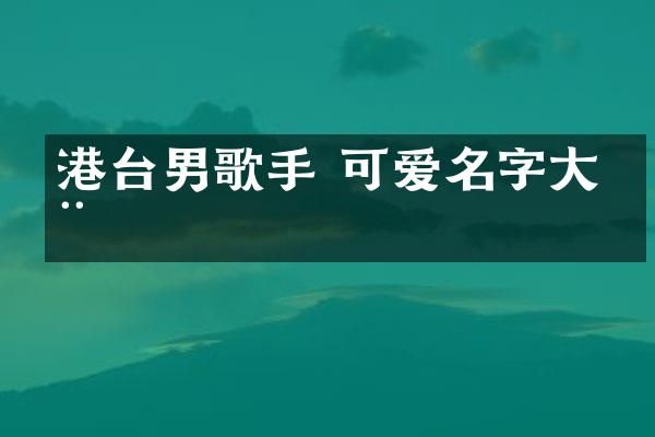 港台男歌手 可爱名字大全