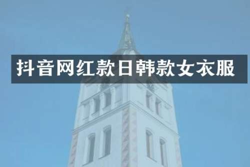 抖音网红款日韩款女衣服