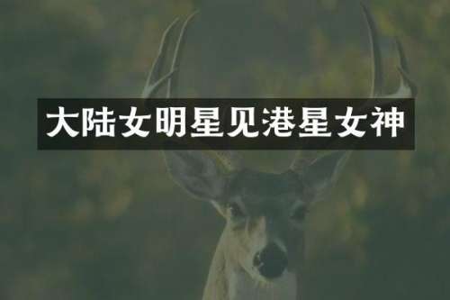 大陆女明星见港星女神