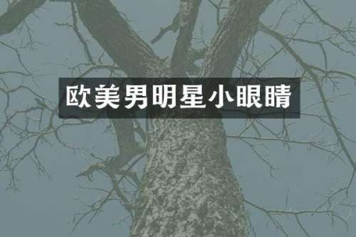 欧美男明星小眼睛