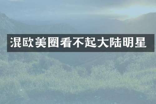 混欧美圈看不起大陆明星