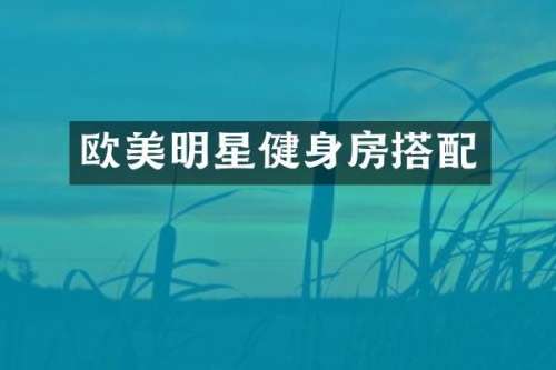 欧美明星健身房搭配