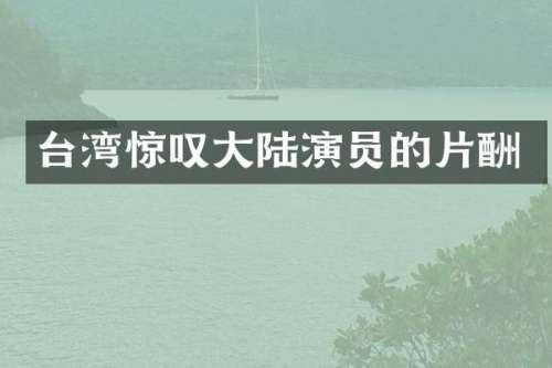 台湾惊叹大陆演员的片酬