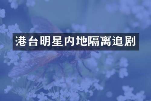 港台明星内地隔离追剧