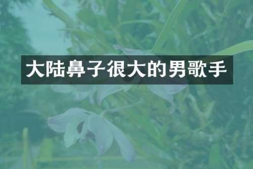 大陆鼻子很大的男歌手