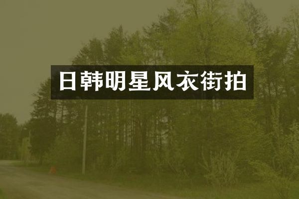 日韩明星风衣街拍