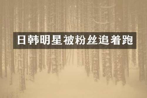 日韩明星被粉丝追着跑