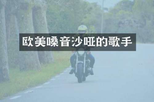 欧美嗓音沙哑的歌手