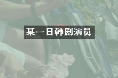 某一日韩剧演员