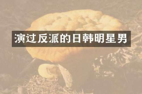 演过反派的日韩明星男