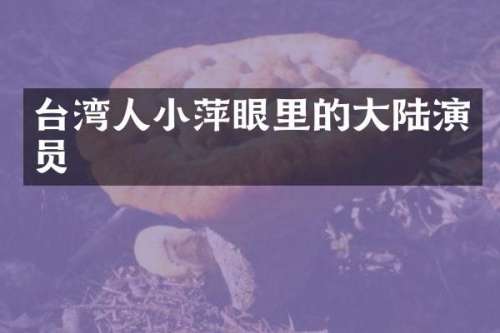 台湾人小萍眼里的大陆演员