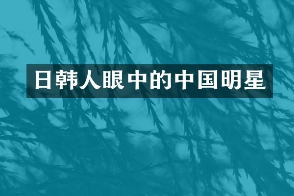 日韩人眼中的中国明星
