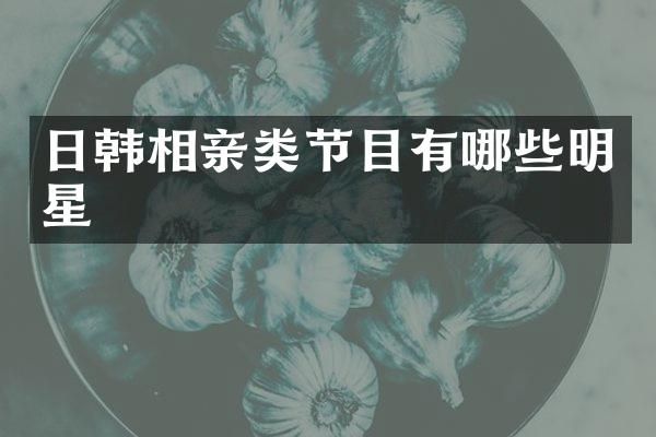 日韩相亲类节目有哪些明星
