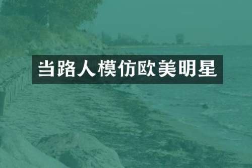 当路人模仿欧美明星