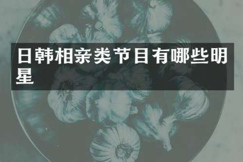 日韩相亲类节目有哪些明星