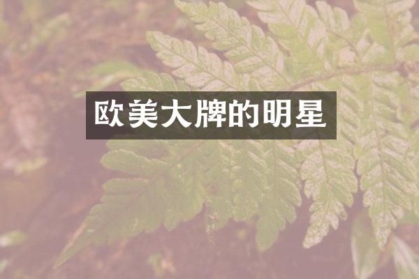 欧美大牌的明星