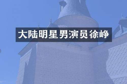 大陆明星男演员徐峥
