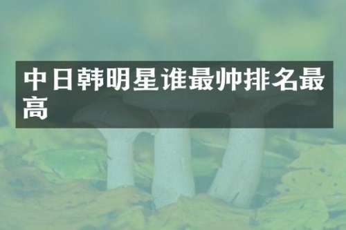 中日韩明星谁最帅排名最高