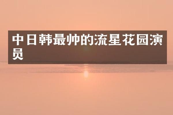 中日韩最帅的流星花园演员