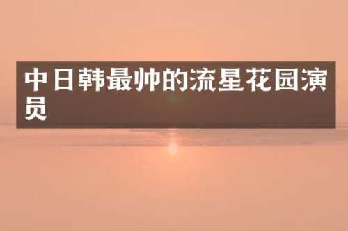 中日韩最帅的流星花园演员