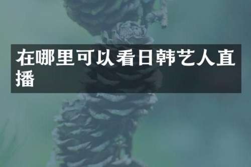 在哪里可以看日韩艺人直播